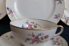 AHRENFELDT FLORAL SPRAY- CUP & SAUCER .....   http://jaapiesfinechinastore.com