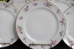 AHRENFELDT FLORAL SPRAY- DINNER PLATE  .....   https://www.jaapiesfinechinastore.com