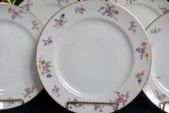 AHRENFELDT FLORAL SPRAY- DINNER PLATE  .....   http://jaapiesfinechinastore.com