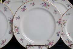 AHRENFELDT FLORAL SPRAY- DINNER PLATE  .....   http://jaapiesfinechinastore.com