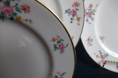 AHRENFELDT FLORAL SPRAY- SALAD PLATE  .....   https://www.jaapiesfinechinastore.com