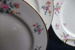 AHRENFELDT FLORAL SPRAY- SALAD PLATE  .....   http://jaapiesfinechinastore.com
