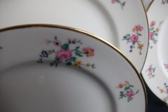 AHRENFELDT FLORAL SPRAY- SALAD PLATE  .....   http://jaapiesfinechinastore.com