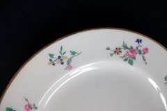 AHRENFELDT FLORAL SPRAY- SALAD PLATE  .....   https://www.jaapiesfinechinastore.com