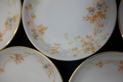 BAWO & DOTTER  AUTUMN VINE, BLUE FLORAL-  BUTTER PAT   .....   http://jaapiesfinechinastore.com
