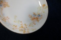 BAWO & DOTTER  AUTUMN VINE, BLUE FLORAL-  BUTTER PAT   .....   http://jaapiesfinechinastore.com