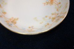 BAWO & DOTTER  AUTUMN VINE, BLUE FLORAL-  BUTTER PAT   .....   http://jaapiesfinechinastore.com