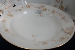 BAWO & DOTTER AUTUMN VINE, BLUE FLORAL- RIM  SOUP BOWL  9" ..... https://www.jaapiesfinechinastore.com