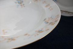 BAWO & DOTTER AUTUMN VINE, BLUE FLORAL- RIM  SOUP BOWL  9" ..... http://jaapiesfinechinastore.com