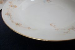 BAWO & DOTTER AUTUMN VINE, BLUE FLORAL- RIM  SOUP BOWL  9" ..... http://jaapiesfinechinastore.com