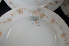 BAWO & DOTTER AUTUMN VINE, BLUE FLORAL- RIM  SOUP BOWL  9" ..... https://www.jaapiesfinechinastore.com