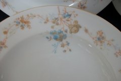 BAWO & DOTTER AUTUMN VINE, BLUE FLORAL- RIM  SOUP BOWL  9" ..... http://jaapiesfinechinastore.com