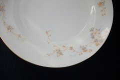 BAWO & DOTTER AUTUMN VINE, BLUE FLORAL- RIM  SOUP BOWL  9" ..... http://jaapiesfinechinastore.com