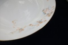 BAWO & DOTTER AUTUMN VINE, BLUE FLORAL- RIM  SOUP BOWL  9" ..... http://jaapiesfinechinastore.com