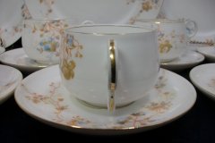 BAWO & DOTTER  AUTUMN VINE, BLUE FLORAL- CUP & SAUCER   .....   http://jaapiesfinechinastore.com