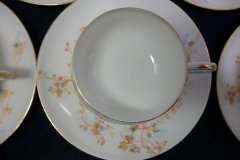 BAWO & DOTTER  AUTUMN VINE, BLUE FLORAL- CUP & SAUCER   .....   http://jaapiesfinechinastore.com