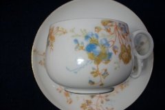 BAWO & DOTTER  AUTUMN VINE, BLUE FLORAL- CUP & SAUCER   .....   http://jaapiesfinechinastore.com