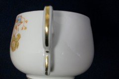 BAWO & DOTTER  AUTUMN VINE, BLUE FLORAL- CUP & SAUCER   .....   http://jaapiesfinechinastore.com