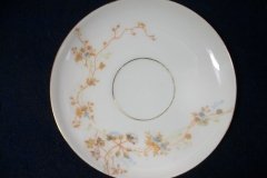 BAWO & DOTTER  AUTUMN VINE, BLUE FLORAL- CUP & SAUCER   .....   http://jaapiesfinechinastore.com
