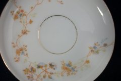 BAWO & DOTTER  AUTUMN VINE, BLUE FLORAL- CUP & SAUCER   .....   http://jaapiesfinechinastore.com