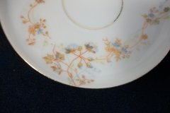 BAWO & DOTTER  AUTUMN VINE, BLUE FLORAL- CUP & SAUCER   .....   http://jaapiesfinechinastore.com