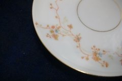 BAWO & DOTTER  AUTUMN VINE, BLUE FLORAL- CUP & SAUCER   .....   http://jaapiesfinechinastore.com