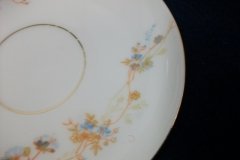 BAWO & DOTTER  AUTUMN VINE, BLUE FLORAL- CUP & SAUCER   .....   http://jaapiesfinechinastore.com
