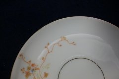 BAWO & DOTTER  AUTUMN VINE, BLUE FLORAL- CUP & SAUCER   .....   http://jaapiesfinechinastore.com