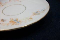 BAWO & DOTTER  AUTUMN VINE, BLUE FLORAL- CUP & SAUCER   .....   http://jaapiesfinechinastore.com