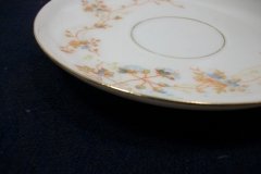 BAWO & DOTTER  AUTUMN VINE, BLUE FLORAL- CUP & SAUCER   .....   http://jaapiesfinechinastore.com