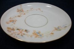 BAWO & DOTTER  AUTUMN VINE, BLUE FLORAL- CUP & SAUCER   .....   http://jaapiesfinechinastore.com
