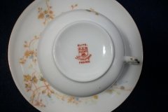 BAWO & DOTTER  AUTUMN VINE, BLUE FLORAL- CUP & SAUCER   .....   http://jaapiesfinechinastore.com