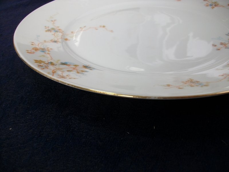 BAWO & DOTTER  AUTUMN VINE, BLUE FLORAL-   DINNER PLATE  9  1/2"     .....   http://jaapiesfinechinastore.com