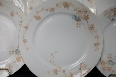 BAWO & DOTTER  AUTUMN VINE, BLUE FLORAL-   DINNER PLATE  9  1/2"     .....   http://jaapiesfinechinastore.com