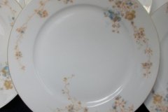 BAWO & DOTTER  AUTUMN VINE, BLUE FLORAL-   DINNER PLATE  9  1/2"     .....   http://jaapiesfinechinastore.com