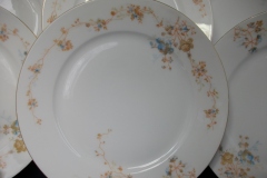 BAWO & DOTTER  AUTUMN VINE, BLUE FLORAL-   DINNER PLATE  9  1/2"     .....   https://www.jaapiesfinechinastore.com