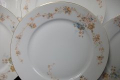 BAWO & DOTTER  AUTUMN VINE, BLUE FLORAL-   DINNER PLATE  9  1/2"     .....   http://jaapiesfinechinastore.com
