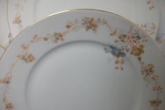 BAWO & DOTTER  AUTUMN VINE, BLUE FLORAL-   DINNER PLATE  9  1/2"     .....   https://www.jaapiesfinechinastore.com