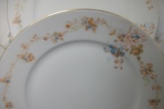 BAWO & DOTTER  AUTUMN VINE, BLUE FLORAL-   DINNER PLATE  9  1/2"     .....   http://jaapiesfinechinastore.com