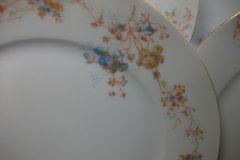 BAWO & DOTTER  AUTUMN VINE, BLUE FLORAL-   DINNER PLATE  9  1/2"     .....   http://jaapiesfinechinastore.com