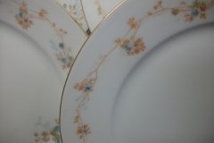 BAWO & DOTTER  AUTUMN VINE, BLUE FLORAL-   DINNER PLATE  9  1/2"     .....   http://jaapiesfinechinastore.com
