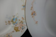 BAWO & DOTTER  AUTUMN VINE, BLUE FLORAL-   DINNER PLATE  9  1/2"     .....   http://jaapiesfinechinastore.com