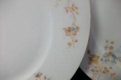 BAWO & DOTTER  AUTUMN VINE, BLUE FLORAL-   DINNER PLATE  9  1/2"     .....   http://jaapiesfinechinastore.com