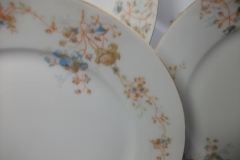 BAWO & DOTTER  AUTUMN VINE, BLUE FLORAL-   DINNER PLATE  9  1/2"     .....   https://www.jaapiesfinechinastore.com