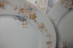 BAWO & DOTTER  AUTUMN VINE, BLUE FLORAL-   DINNER PLATE  9  1/2"     .....   http://jaapiesfinechinastore.com