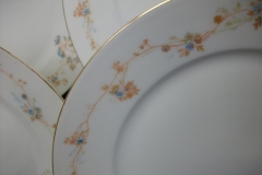 BAWO & DOTTER  AUTUMN VINE, BLUE FLORAL-   DINNER PLATE  9  1/2"     .....   https://www.jaapiesfinechinastore.com