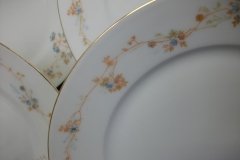 BAWO & DOTTER  AUTUMN VINE, BLUE FLORAL-   DINNER PLATE  9  1/2"     .....   http://jaapiesfinechinastore.com