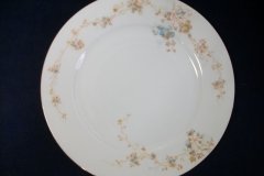 BAWO & DOTTER  AUTUMN VINE, BLUE FLORAL-   DINNER PLATE  9  1/2"     .....   http://jaapiesfinechinastore.com