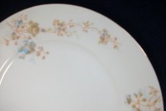 BAWO & DOTTER  AUTUMN VINE, BLUE FLORAL-   DINNER PLATE  9  1/2"     .....   http://jaapiesfinechinastore.com