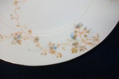 BAWO & DOTTER  AUTUMN VINE, BLUE FLORAL-   DINNER PLATE  9  1/2"     .....   http://jaapiesfinechinastore.com